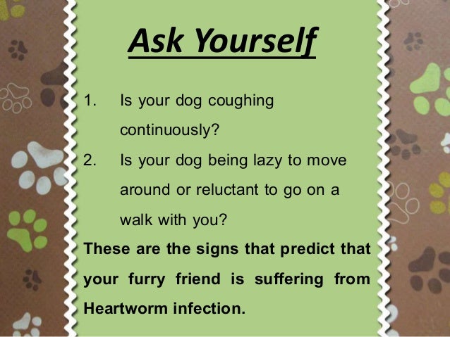 signs of heartworm in dogs heartworms in dogs signs and symptoms signs of heartworm in dogs heartworms in dogs signs and symptoms
