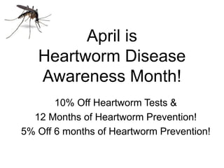 April is
Heartworm Disease
Awareness Month!
10% Off Heartworm Tests &
12 Months of Heartworm Prevention!
5% Off 6 months of Heartworm Prevention!
 