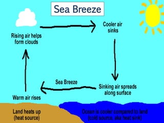 Sea Breeze
 