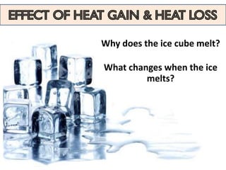 EFFECT OF HEAT GAIN & HEAT LOSS

             Why does the ice cube melt?

              What changes when the ice
                       melts?
 