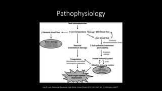 Heat Rash Pathophysiology Heat-Related Illness | PPTX