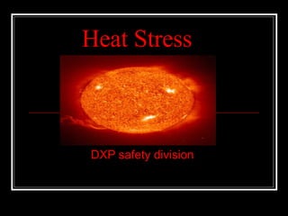 Heat Stress DXP safety division   