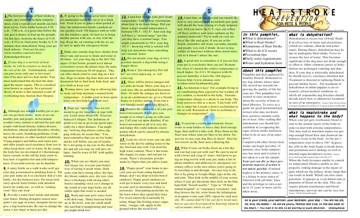 Heat stroke prevention picture