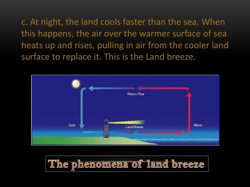 Lesson 5 Heat as a Form of Energy