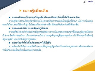 ความรู้เพิ่มเติม
 