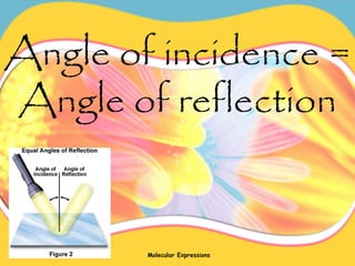 Angle of incidence =
Angle of reflection
Molecular Expressions
 