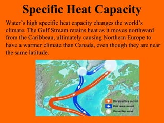 Specific Heat Capacity
Water’s high specific heat capacity changes the world’s
climate. The Gulf Stream retains heat as it moves northward
from the Caribbean, ultimately causing Northern Europe to
have a warmer climate than Canada, even though they are near
the same latitude.
 