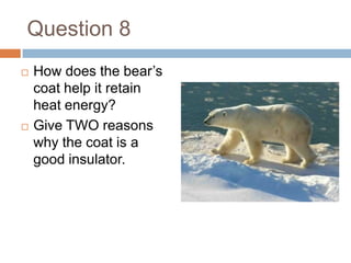 Question 8How does the bear’s coat help it retain heat energy?Give TWO reasons why the coat is a good insulator.