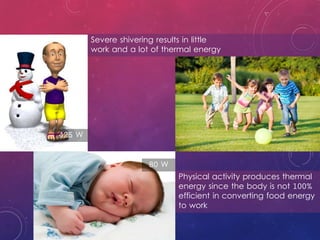 Physical activity produces thermal
energy since the body is not 100%
efficient in converting food energy
to work
Severe shivering results in little
work and a lot of thermal energy
80 W
425 W
 
