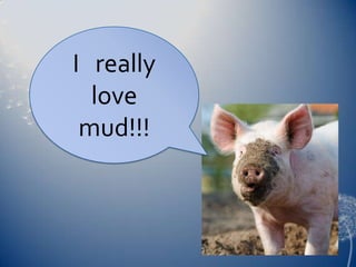 I really
love
mud!!!
 
