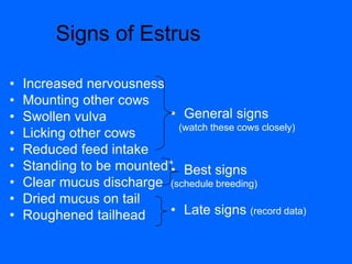 Signs of Estrus
• Increased nervousness
• Mounting other cows
• Swollen vulva
• Licking other cows
• Reduced feed intake
• Standing to be mounted*
• Clear mucus discharge
• Dried mucus on tail
• Roughened tailhead
• General signs
(watch these cows closely)
• Best signs
(schedule breeding)
• Late signs (record data)
 