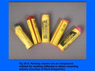 Fig 26-6. Marking crayons are an inexpensive
method for marking tailheads to detect mounting
activity (Courtesy of Mark Kirkpatrick)
 