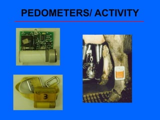 PEDOMETERS/ ACTIVITY
 