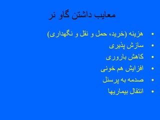 ‫نر‬ ‫گاو‬ ‫داشتن‬ ‫معایب‬
•‫هزینه‬(‫نگهداری‬ ‫و‬ ‫نقل‬ ‫و‬ ‫حمل‬ ،‫خرید‬)
•‫پذیری‬ ‫سازش‬
•‫باروری‬ ‫کاهش‬
•‫خونی‬ ‫هم‬ ‫افزایش‬
•‫پرسنل‬ ‫به‬ ‫صدمه‬
•‫بیماریها‬ ‫انتقال‬
 