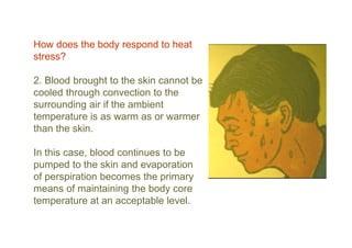 How does the body respond to heat
stress?
2. Blood brought to the skin cannot be
cooled through convection to the
surrounding air if the ambient
temperature is as warm as or warmer
than the skin.
In this case, blood continues to be
pumped to the skin and evaporation
of perspiration becomes the primary
means of maintaining the body core
temperature at an acceptable level.
 