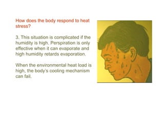 How does the body respond to heat
stress?
3. This situation is complicated if the
humidity is high. Perspiration is only
effective when it can evaporate and
high humidity retards evaporation.
When the environmental heat load is
high, the body’s cooling mechanism
can fail.
 