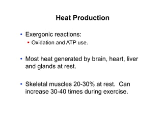 Heat Production
• Exergonic reactions:
 Oxidation and ATP use.
• Most heat generated by brain, heart, liver
and glands at rest.
• Skeletal muscles 20-30% at rest. Can
increase 30-40 times during exercise.
 