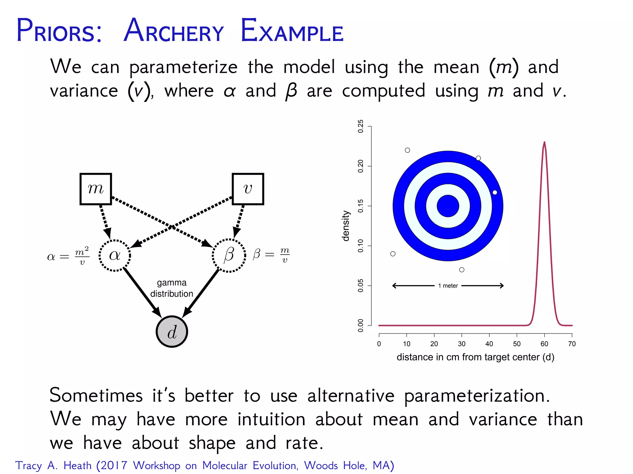 P: A E
We can parameterize the model using the mean (m) and
variance (v), where α and β are computed using m and v.
d
α β
gamma
distribution
m v
β = m
vα = m2
v
0 10 20 30 40 50 60 70
0.000.050.100.150.200.25 distance in cm from target center (d)
density
1 meter
q
q
q
q
q
Sometimes it’s better to use alternative parameterization.
We may have more intuition about mean and variance than
we have about shape and rate.
Tracy A. Heath (2017 Workshop on Molecular Evolution, Woods Hole, MA)
 