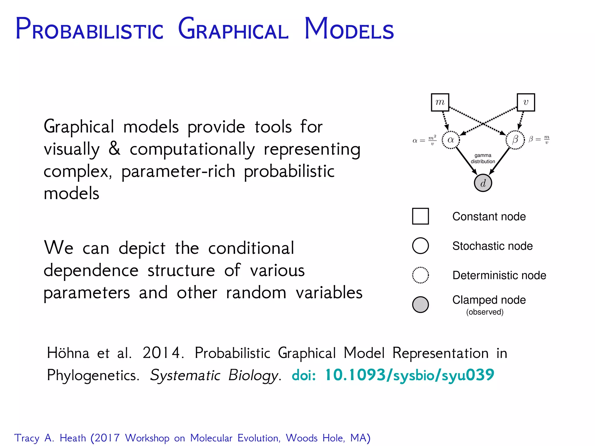 P G M
Graphical models provide tools for
visually & computationally representing
complex, parameter-rich probabilistic
models
We can depict the conditional
dependence structure of various
parameters and other random variables
d
α β
gamma
distribution
m v
β = m
vα = m2
v
Clamped node
(observed)
Deterministic node
Stochastic node
Constant node
Höhna et al. 2014. Probabilistic Graphical Model Representation in
Phylogenetics. Systematic Biology. doi: 10.1093/sysbio/syu039
Tracy A. Heath (2017 Workshop on Molecular Evolution, Woods Hole, MA)
 