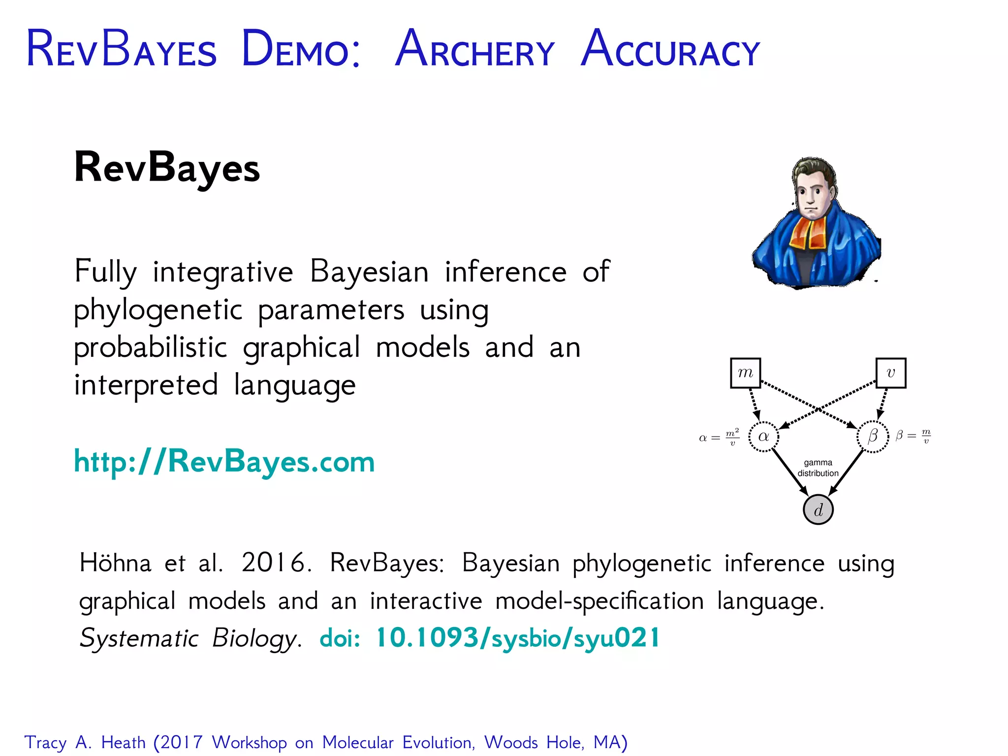 RB D: A A
RevBayes
Fully integrative Bayesian inference of
phylogenetic parameters using
probabilistic graphical models and an
interpreted language
http://RevBayes.com
d
α β
gamma
distribution
m v
β = m
vα = m2
v
Höhna et al. 2016. RevBayes: Bayesian phylogenetic inference using
graphical models and an interactive model-speciﬁcation language.
Systematic Biology. doi: 10.1093/sysbio/syu021
Tracy A. Heath (2017 Workshop on Molecular Evolution, Woods Hole, MA)
 