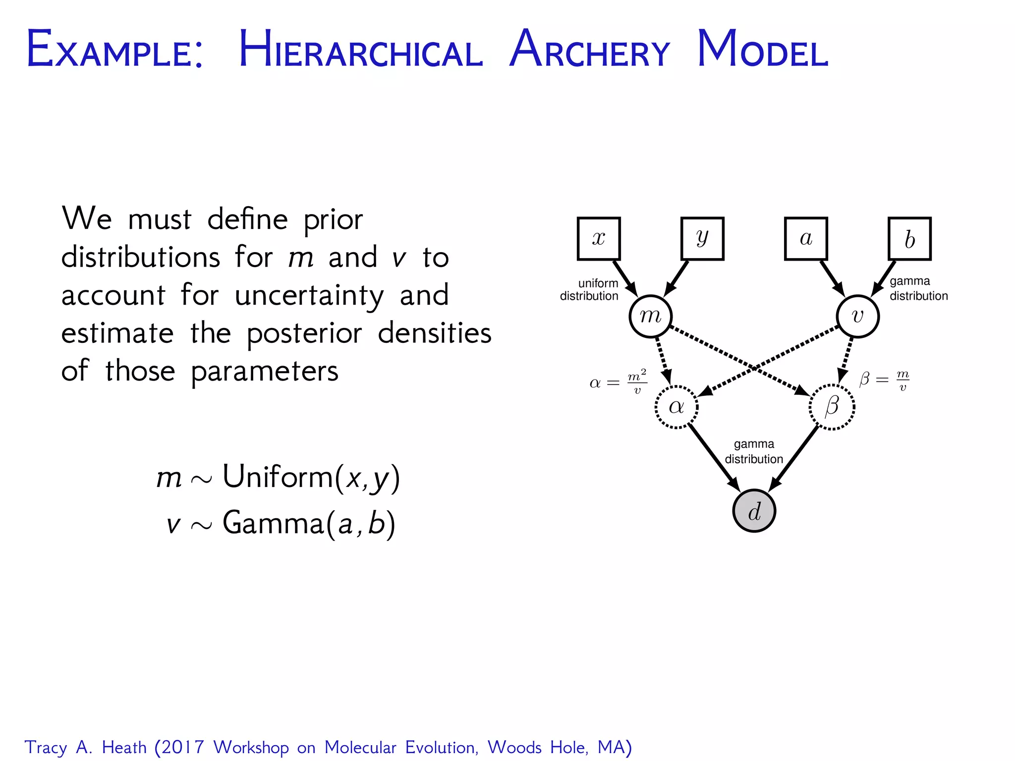 E: H A M
We must deﬁne prior
distributions for m and v to
account for uncertainty and
estimate the posterior densities
of those parameters
m ∼ Uniform(x,y)
v ∼ Gamma(a,b) d
α β
gamma
distribution
m v
β = m
vα = m2
v
x y a b
uniform
distribution
gamma
distribution
Tracy A. Heath (2017 Workshop on Molecular Evolution, Woods Hole, MA)
 