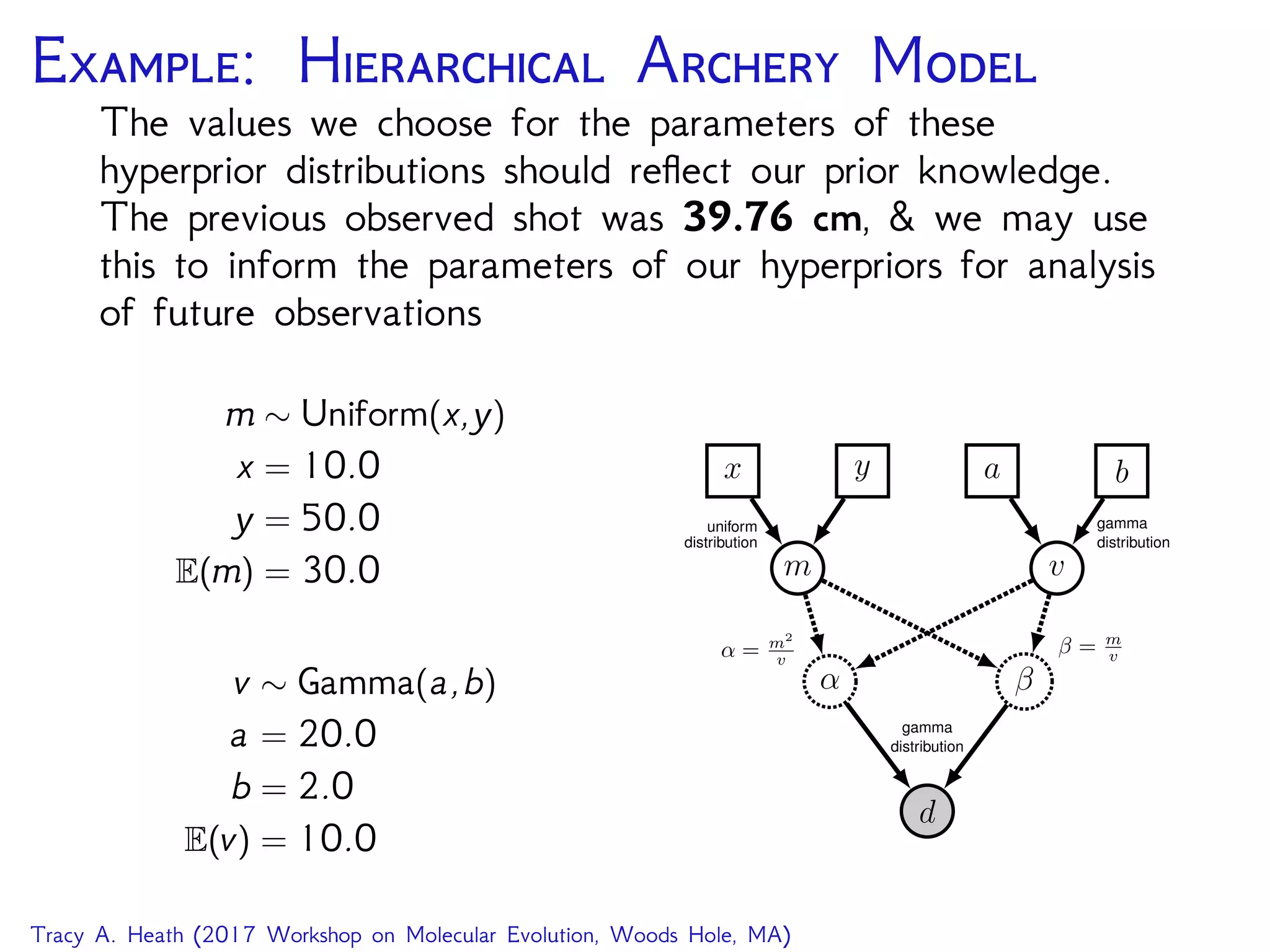 E: H A M
The values we choose for the parameters of these
hyperprior distributions should reﬂect our prior knowledge.
The previous observed shot was 39.76 cm, & we may use
this to inform the parameters of our hyperpriors for analysis
of future observations
m ∼ Uniform(x,y)
x = 10.0
y = 50.0
E(m) = 30.0
v ∼ Gamma(a,b)
a = 20.0
b = 2.0
E(v) = 10.0
d
α β
gamma
distribution
m v
β = m
vα = m2
v
x y a b
uniform
distribution
gamma
distribution
Tracy A. Heath (2017 Workshop on Molecular Evolution, Woods Hole, MA)
 
