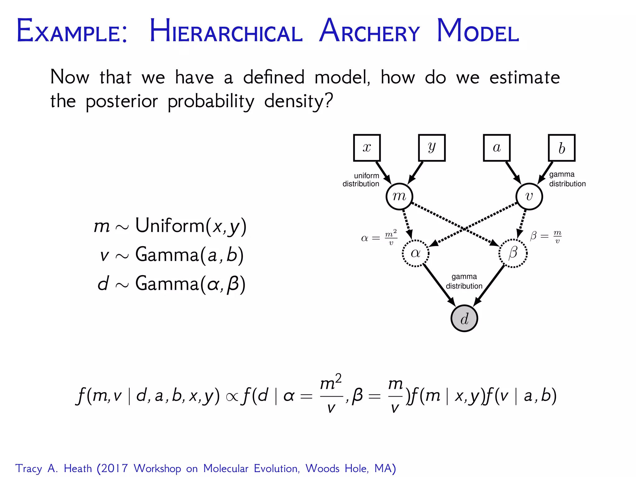 E: H A M
Now that we have a deﬁned model, how do we estimate
the posterior probability density?
m ∼ Uniform(x,y)
v ∼ Gamma(a,b)
d ∼ Gamma(α,β)
d
α β
gamma
distribution
m v
β = m
vα = m2
v
x y a b
uniform
distribution
gamma
distribution
f(m,v | d,a,b,x,y) ∝ f(d | α =
m2
v
,β =
m
v
)f(m | x,y)f(v | a,b)
Tracy A. Heath (2017 Workshop on Molecular Evolution, Woods Hole, MA)
 