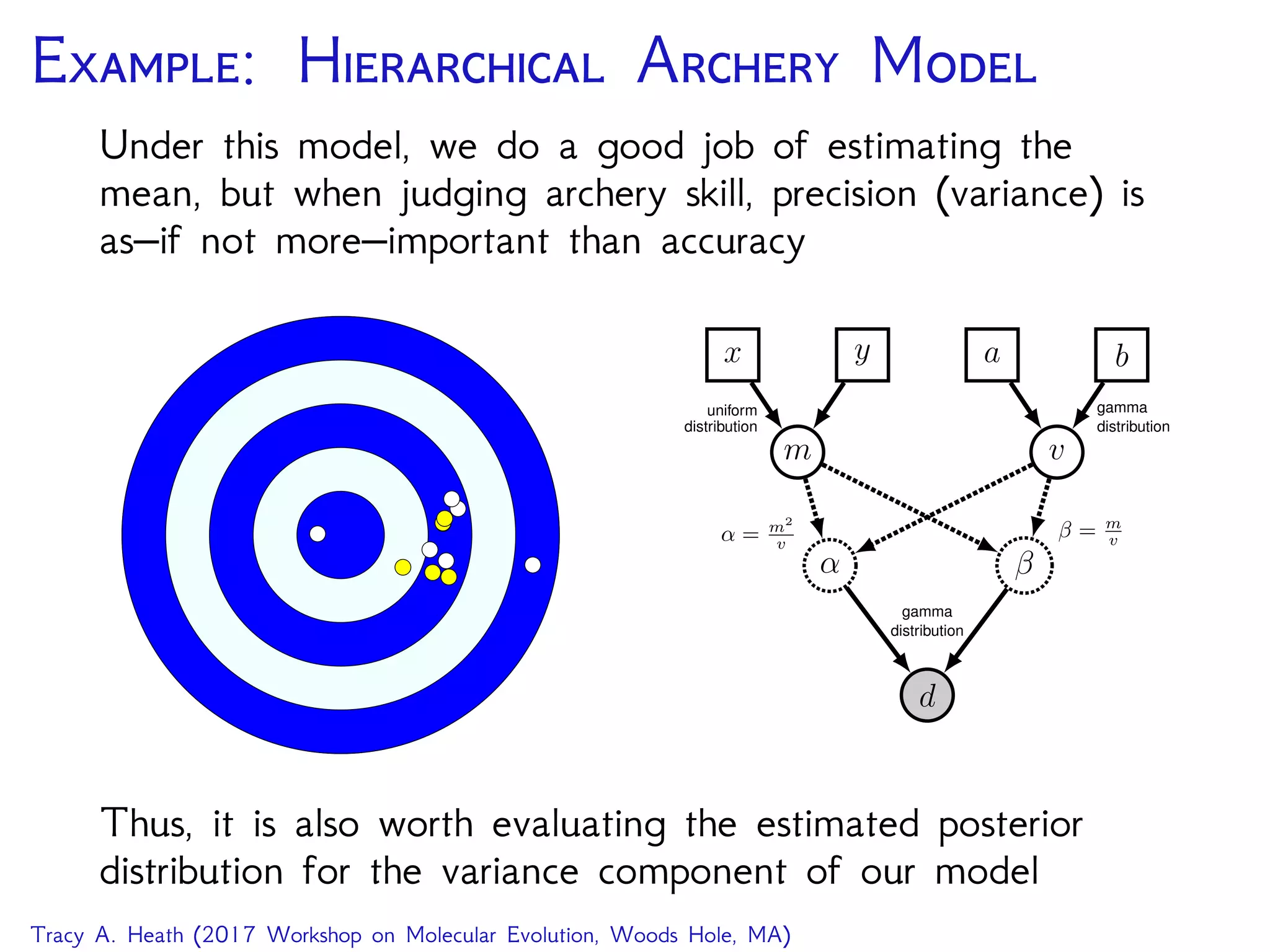 E: H A M
Under this model, we do a good job of estimating the
mean, but when judging archery skill, precision (variance) is
as–if not more–important than accuracy
q
q
qq
q
q
q
q q
qqq
q
d
α β
gamma
distribution
m v
β = m
vα = m2
v
x y a b
uniform
distribution
gamma
distribution
Thus, it is also worth evaluating the estimated posterior
distribution for the variance component of our model
Tracy A. Heath (2017 Workshop on Molecular Evolution, Woods Hole, MA)
 