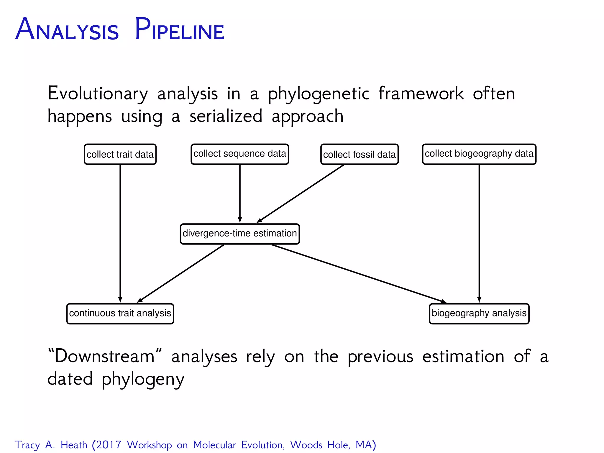 A P
Evolutionary analysis in a phylogenetic framework often
happens using a serialized approach
collect sequence data collect fossil datacollect trait data collect biogeography data
divergence-time estimation
continuous trait analysis biogeography analysis
“Downstream” analyses rely on the previous estimation of a
dated phylogeny
Tracy A. Heath (2017 Workshop on Molecular Evolution, Woods Hole, MA)
 
