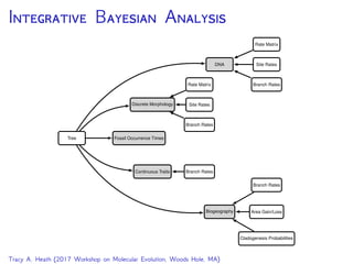 Integrative Bayesian Analysis in RevBayes | PDF