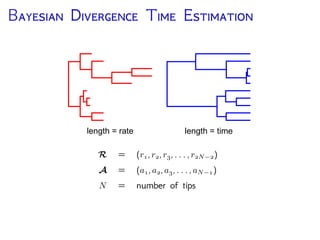 B D T E
length = rate length = time
R = (r1,r2,r3,...,r2N 2)
A = (a1,a2,a3,...,aN 1)
N = number of tips
 