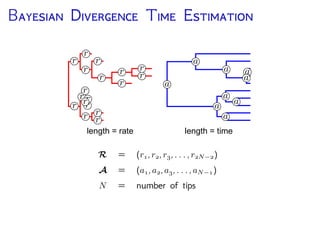 B D T E
Posterior probability
f (R,A, R, A, s | D, )
R Vector of rates on branches
A Vector of internal node ages
R, A, s Model parameters
D Sequence data
Tree topology
 