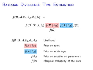 B D T E
Estimating divergence times relies on 2 main elements:
• Branch-speciﬁc rates: f (R | R)
• Node ages & Topology: f (A | A)
DNA Data
Rate Matrix Site Rates Branch RatesTree
 