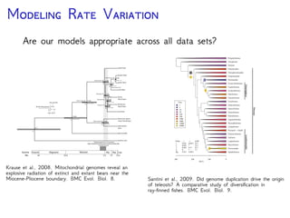 P T N A
Relaxed clock Bayesian analyses require a prior distribution
on time trees
Di erent node-age priors make di erent assumptions about
the timing of divergence events
Tree Priors
 