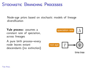 S B P
Di erent values of and lead
to di erent trees
Bayesian inference under these
models can be very sensitive to
the values of these parameters
Using hyperpriors on and (or
d and r) accounts for uncertainty
in these hyperparameters
Tree Priors
 