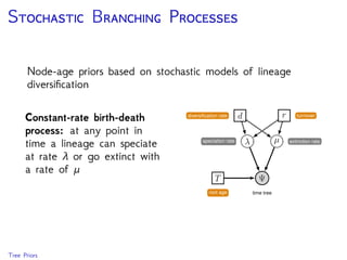 P N T
Sequence data are only informative on relative rates & times
Node-time priors cannot give precise estimates of absolute
node ages
We need external information (like fossils) to provide
absolute time scale
Node Age Priors
 
