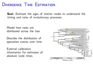 A T -S E
Phylogenetic divergence-time
estimation
• What was the spacial and
climatic environment of ancient
angiosperms?
• How has mammalian body-size
changed over time?
• How has the infection rate of
HCV in Egypt changed over
time?
• Is diversiﬁcation in Caribbean
anoles correlated with ecological
opportunity?
• How has the rate of molecular
evolution changed across the
Tree of Life?
Epidemiology
(Antonelli & Sanmartin. Syst. Biol. 2011)
(Lartillot & Delsuc. Evolution 2012)
(Stadler et al. PNAS 2013)
(Mahler, Revell, Glor, & Losos. Evolution 2010)
(Nabholz, Glemin, Galtier. MBE 2008)
Historical biogeography Molecular evolution
Trait evolution
Diversification
Anolis fowleri (image by L. Mahler)
Understanding Evolutionary Processes
 