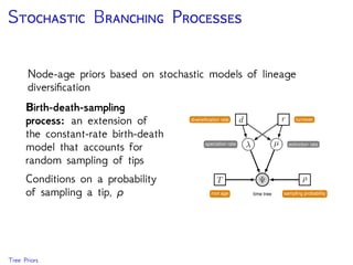 A F C
Misplaced fossils can a ect node age estimates throughout
the tree – if the fossil is older than its presumed MRCA
Calibrating the Tree (ﬁgure from Benton & Donoghue Mol. Biol. Evol. 2007)
 