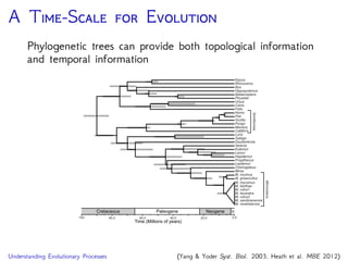 D T E
Goal: Estimate the ages of interior nodes to understand the
timing and rates of evolutionary processes
Model how rates are
distributed across the tree
Describe the distribution of
speciation events over time
External calibration
information for estimates of
absolute node times
calibrated node
100 0.020.040.060.080.0
Equus
Rhinoceros
Bos
Hippopotamus
Balaenoptera
Physeter
Ursus
Canis
Felis
Homo
Pan
Gorilla
Pongo
Macaca
Callithrix
Loris
Galago
Daubentonia
Varecia
Eulemur
Lemur
Hapalemur
Propithecus
Lepilemur
Mirza
M. murinus
M. griseorufus
M. myoxinus
M. berthae
M. rufus1
M. tavaratra
M. rufus2
M. sambiranensis
M. ravelobensis
Cheirogaleus
Simiiformes
Microcebus
Cretaceous Paleogene Neogene Q
Time (Millions of years)
 