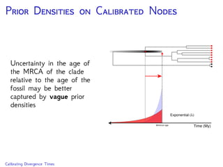 I F C
We want to use all
of the available fossils
Example: Bears
12 fossils are reduced
to 4 calibration ages
with calibration density
methods
Domestic dog
Spotted seal
Giant panda
Spectacled bear
Sun bear
Am. black bear
Asian black bear
Brown bear
Polar bear
Sloth bear
Zaragocyon daamsi
Ballusia elmensis
Ursavus brevihinus
Ailurarctos lufengensis
Ursavus primaevus
Agriarctos spp.
Kretzoiarctos beatrix
Indarctos vireti
Indarctos arctoides
Indarctos punjabiensis
Giant short-faced bear
Cave bear
Fossil and Extant Bears (Krause et al. BMC Evol. Biol. 2008; Abella et al. PLoS ONE 2012)
 