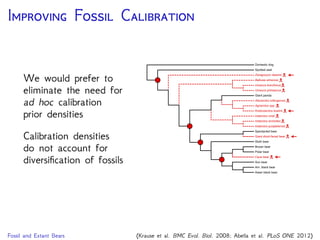 I F C
This relies on a
branching model that
accounts for
speciation, extinction,
and rates of
fossilization,
preservation, and
recovery
Domestic dog
Spotted seal
Giant panda
Spectacled bear
Sun bear
Am. black bear
Asian black bear
Brown bear
Polar bear
Sloth bear
Zaragocyon daamsi
Ballusia elmensis
Ursavus brevihinus
Ailurarctos lufengensis
Ursavus primaevus
Agriarctos spp.
Kretzoiarctos beatrix
Indarctos vireti
Indarctos arctoides
Indarctos punjabiensis
Giant short-faced bear
Cave bear
Fossil and Extant Bears (Krause et al. BMC Evol. Biol. 2008; Abella et al. PLoS ONE 2012)
 