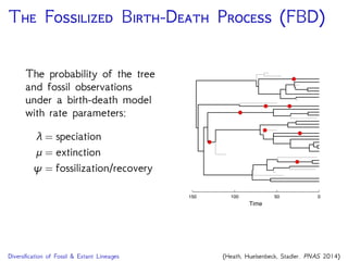P FBD
This graph shows the conditional dependence structure of
the FBD model, which is a generating process for a
sampled, dated time tree and fossil occurrences
T
F
µ
time tree
⇢x0origin time sampling probability
fossil occurrence times
fossil recovery ratespeciation rate extinction rate
 