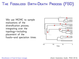 T F B -D P (FBD)
Improving statistical inference of absolute node ages
Eliminates the need to specify arbitrary
calibration densities
Useful for ‘total-evidence’ analyses
Better capture our statistical
uncertainty in species divergence dates
All reliable fossils associated with a
clade are used
150 100 50 0
Time
(Heath, Huelsenbeck, Stadler. PNAS 2014)
 