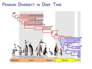 T F B -D P (FBD)
The probability of the tree
and fossil observations
under a birth-death model
with rate parameters:
= speciation
= extinction
= fossilization/recovery
150 100 50 0
Time
Diversiﬁcation of Fossil & Extant Lineages (Heath, Huelsenbeck, Stadler. PNAS 2014)
 