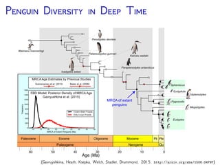 T F B -D P (FBD)
The fossil must attach to
the tree at some time and
to some branch: F
0250 50100150200
Time (My)
Diversiﬁcation of Fossil & Extant Lineages (Heath, Huelsenbeck, Stadler. PNAS 2014)
 