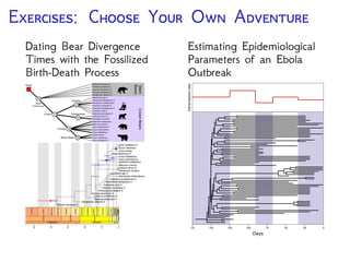 T F B -D P (FBD)
Given F and , the new
fossil can attach to the tree
via speciation along either
branch in the extant tree at
time F
0250 50100150200
Time (My)
Diversiﬁcation of Fossil & Extant Lineages (Heath, Huelsenbeck, Stadler. PNAS 2014)
 