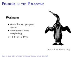 T F B -D P (FBD)
Given F and , the new
fossil can attach to the tree
via speciation along either
branch in the extant tree at
time F
0250 50100150200
Time (My)
Diversiﬁcation of Fossil & Extant Lineages (Heath, Huelsenbeck, Stadler. PNAS 2014)
 