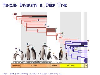 T F B -D P (FBD)
Given F and , the new
fossil can attach to the tree
via speciation along either
branch in the extant tree at
time F
0250 50100150200
Time (My)
Diversiﬁcation of Fossil & Extant Lineages (Heath, Huelsenbeck, Stadler. PNAS 2014)
 