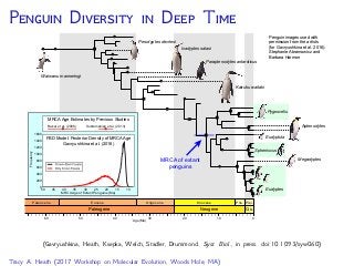T F B -D P (FBD)
If F = , then the new
fossil lies directly on a
branch in the extant tree
0250 50100150200
Time (My)
Diversiﬁcation of Fossil & Extant Lineages (Heath, Huelsenbeck, Stadler. PNAS 2014)
 