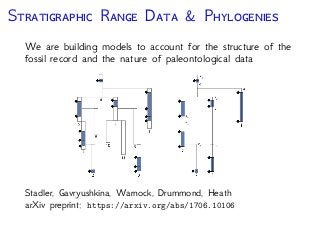 T F B -D P (FBD)
Or it is an ancestor of the
other sampled fossil
0250 50100150200
Time (My)
Diversiﬁcation of Fossil & Extant Lineages (Heath, Huelsenbeck, Stadler. PNAS 2014)
 